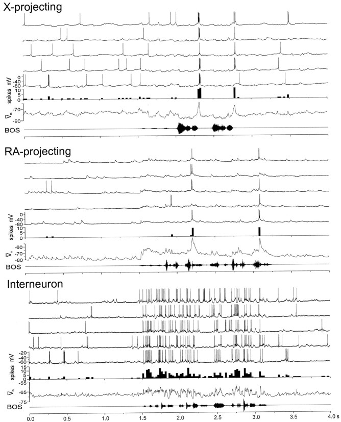 Fig. 5.