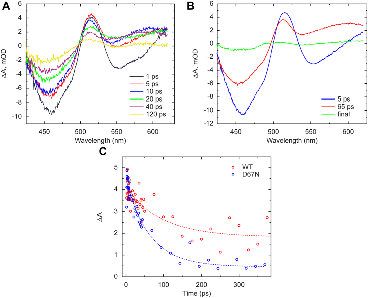 Figure 2