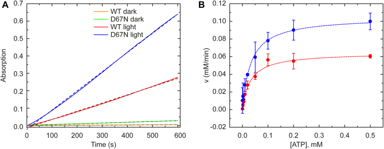 Figure 4