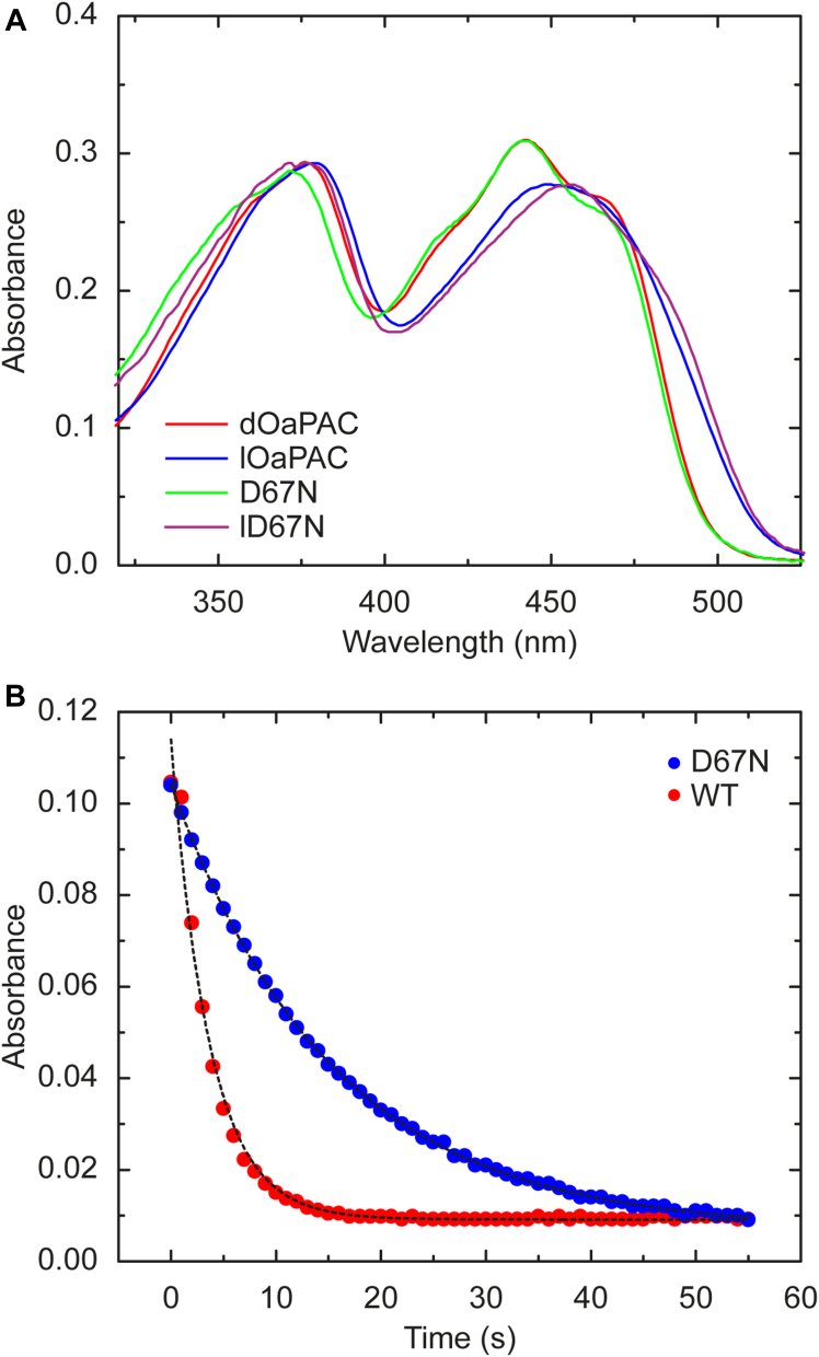 Figure 5