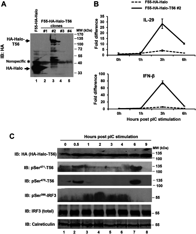 Figure 7