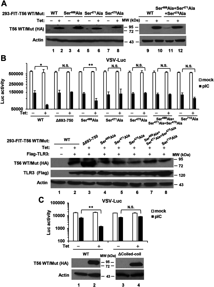 Figure 6