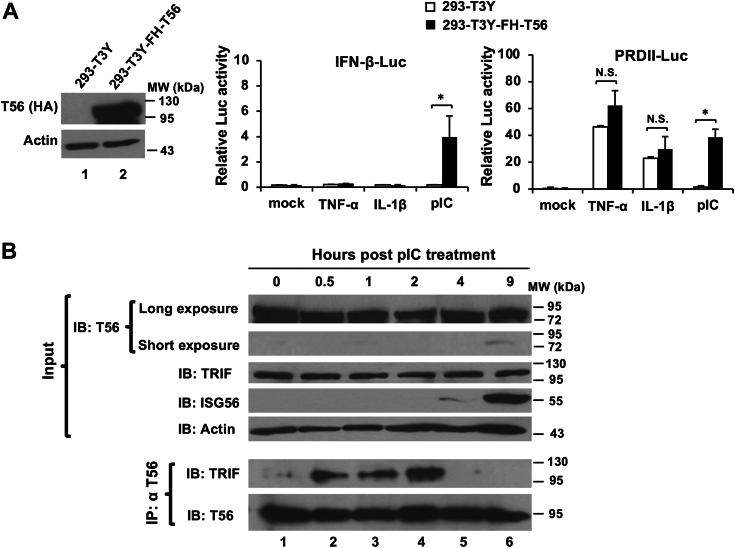 Figure 2