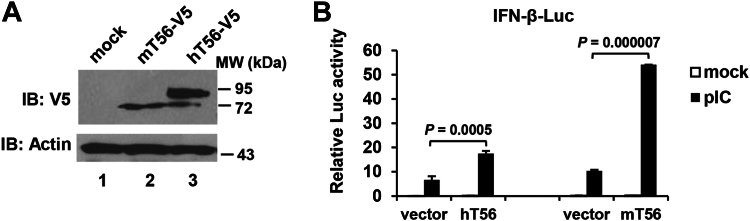 Figure 1