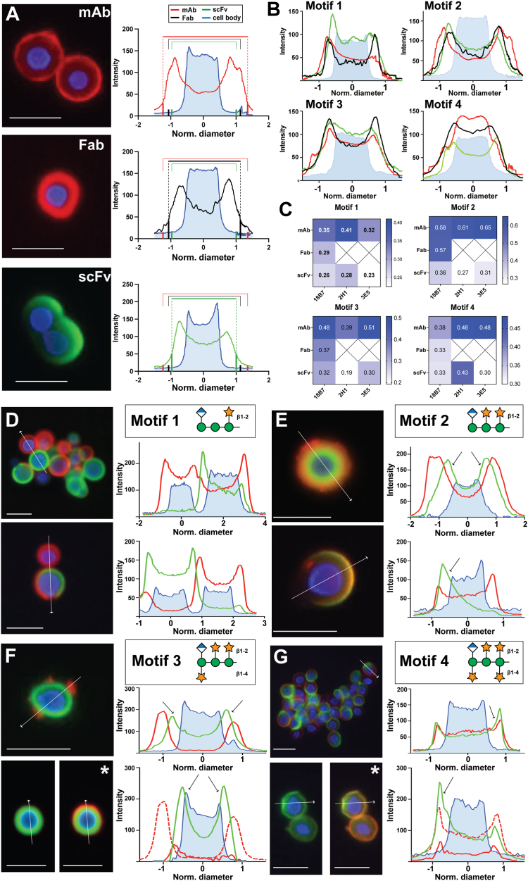 Figure 2