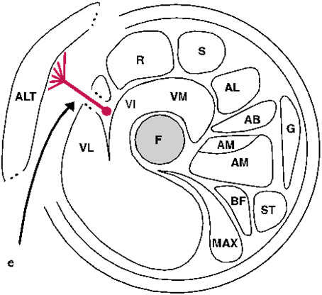 Figure 2.