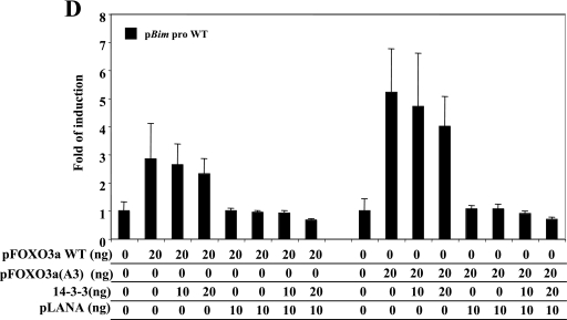 FIG.3.