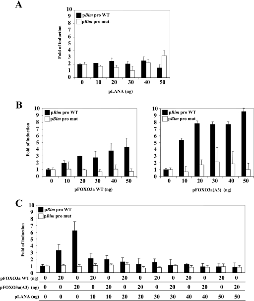 FIG.3.