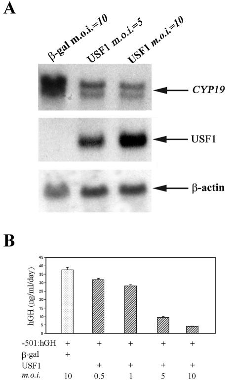 FIG. 6.