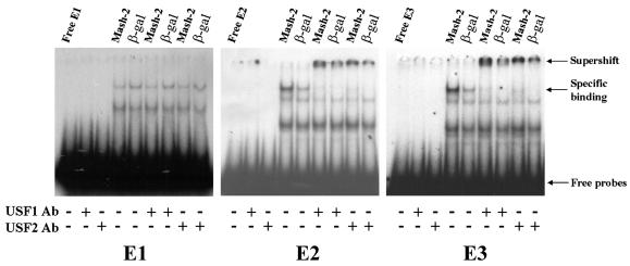 FIG. 5.