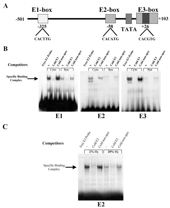 FIG. 2.