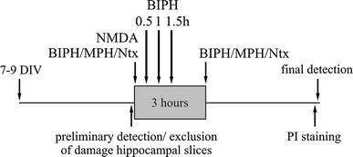 Fig. 1