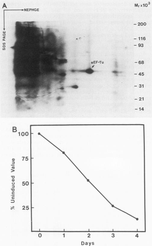 graphic file with name molcellb00083-0080-a.jpg