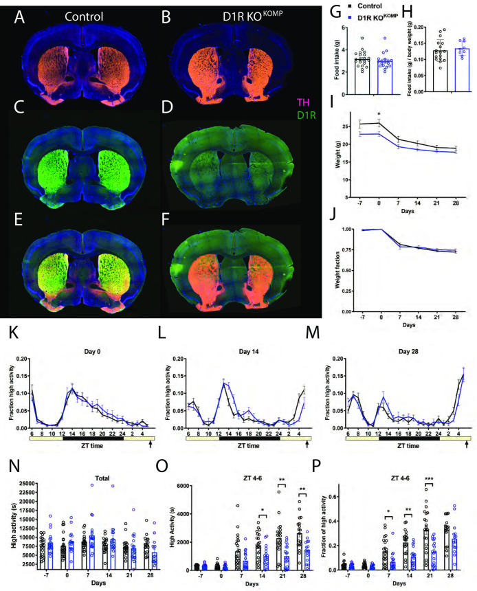 Fig 4