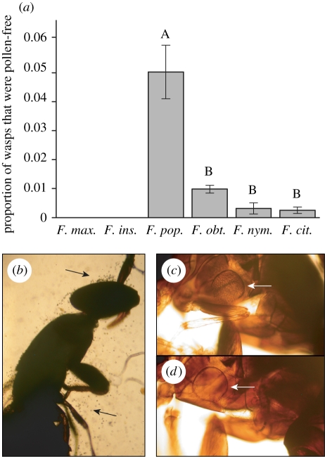 Figure 2.