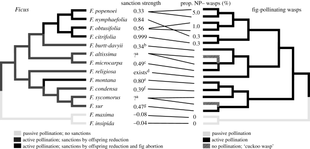 Figure 4.