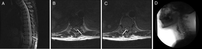 Fig. 1.