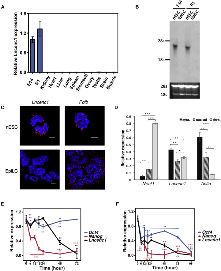 Figure 2