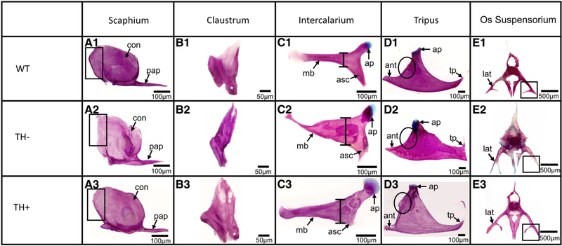 Fig. 3.