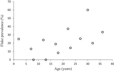 Fig. 4