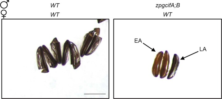 Extended Data Fig. 1