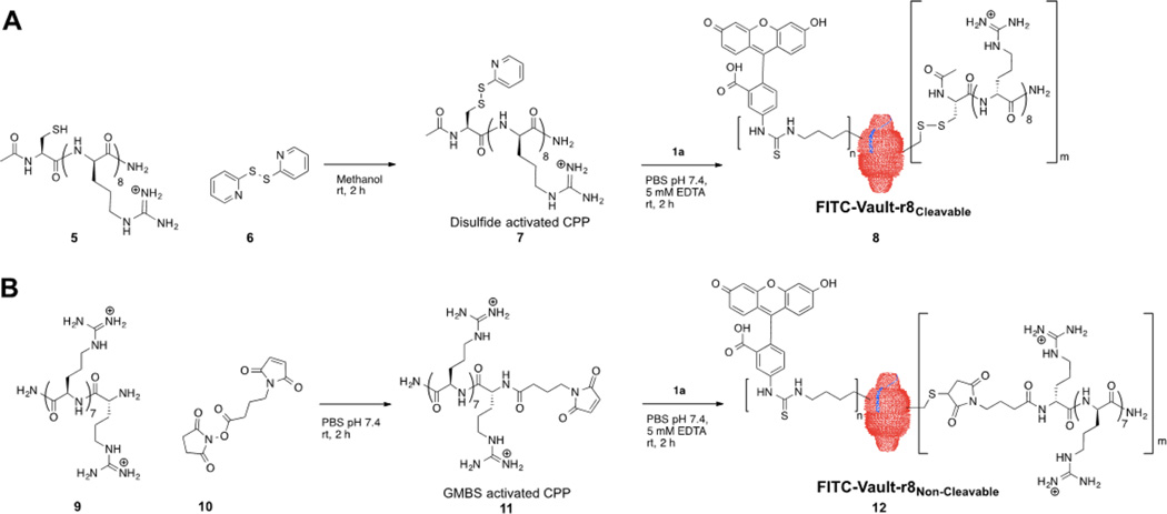 Scheme 2