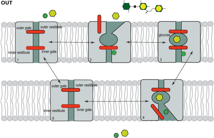 Fig. 1