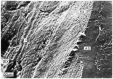 Figure 11.