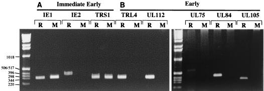 FIG. 6