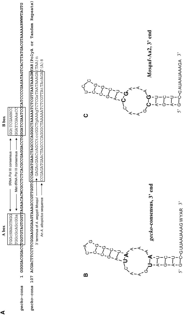 Figure 3.—