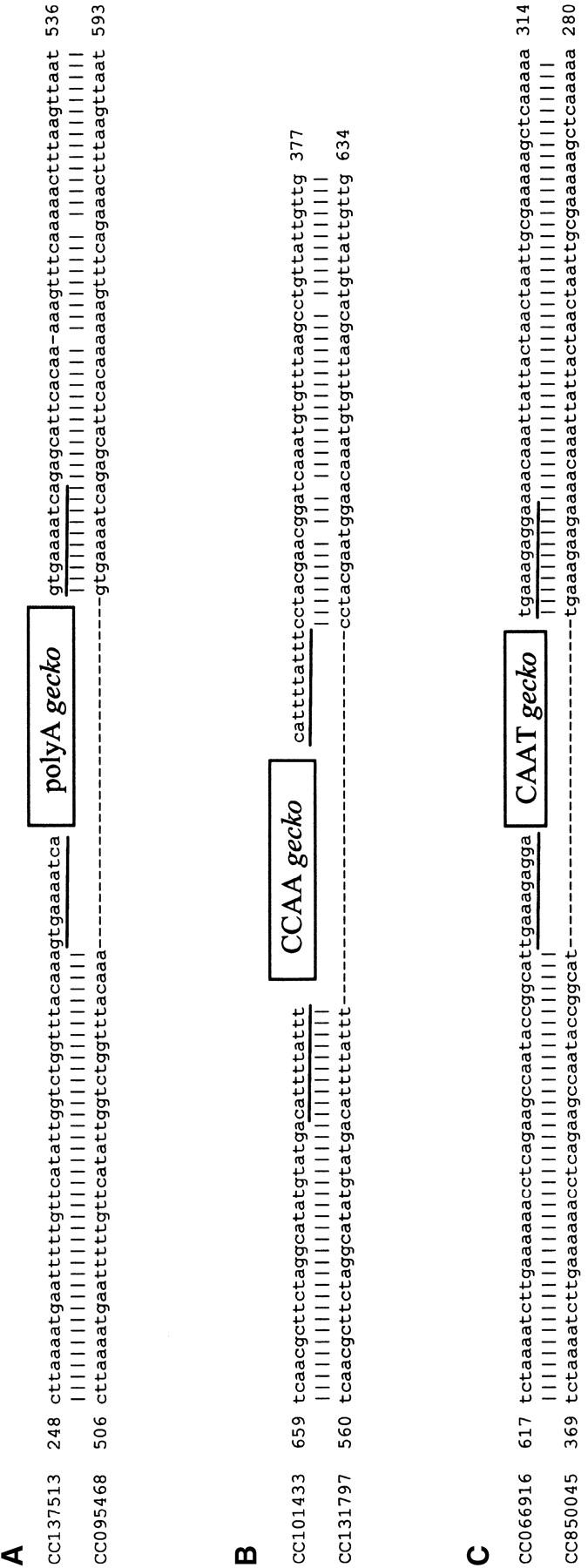 Figure 2.—