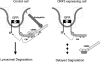 FIG. 8.