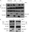 FIG. 7.