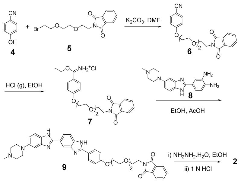 Scheme 2