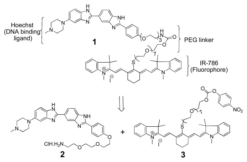 Scheme 1