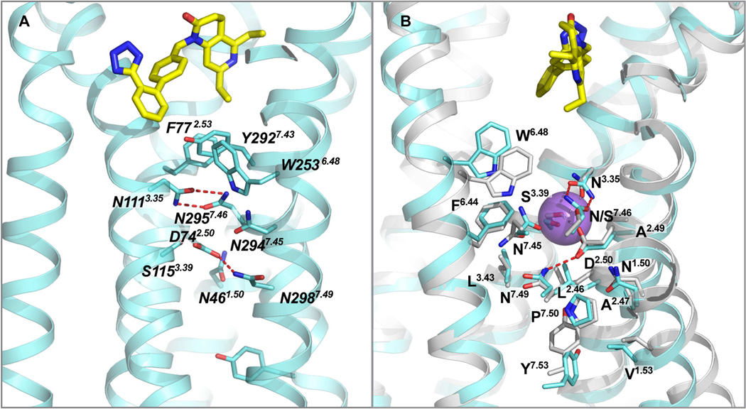 Figure 6