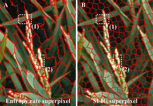 Fig. 10