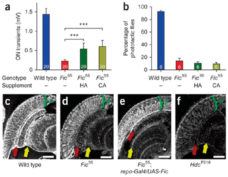 Figure 20