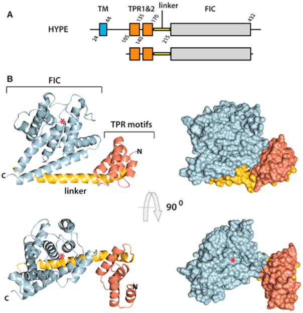 Figure 18