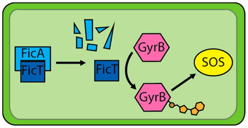 Figure 16