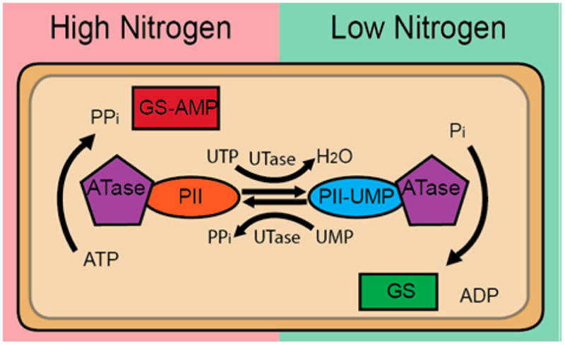 Figure 15