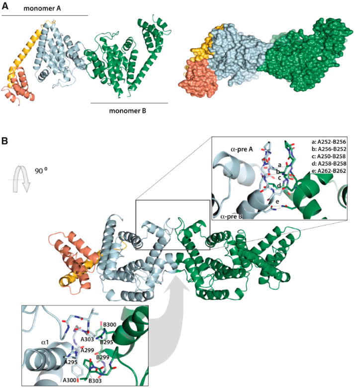 Figure 19