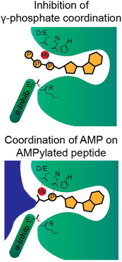 Figure 23