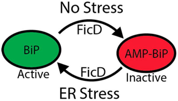 Figure 22