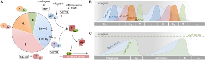 FIGURE 2