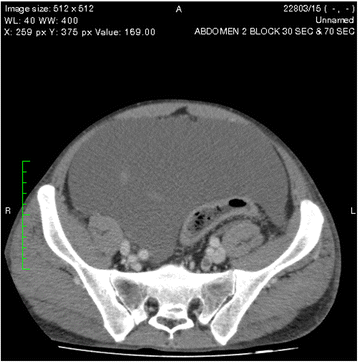 Fig. 6