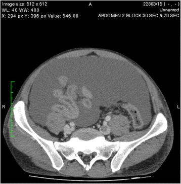 Fig. 5
