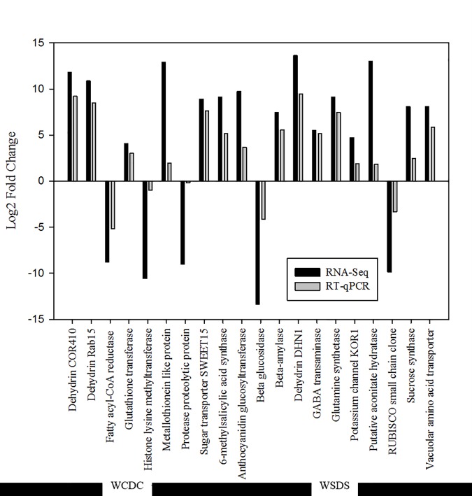 Fig 6