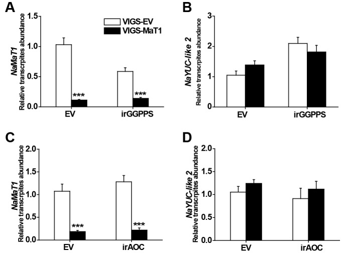 Figure 3—figure supplement 3.