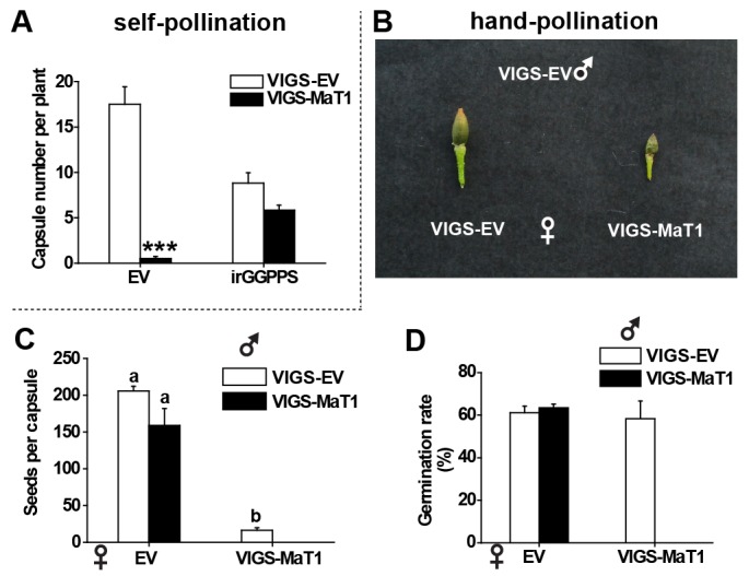 Figure 3—figure supplement 2.